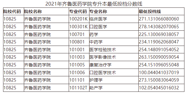 齐鲁医药学院