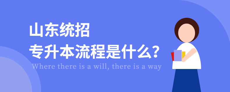 山東專升本流程是什么