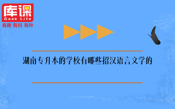 湖南专升本的学校有哪些招汉语言文学的