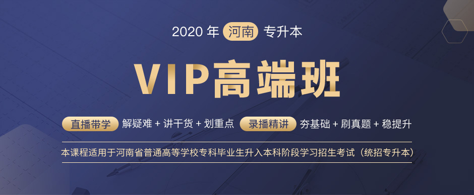 VIP高端班-河南-英语+语文_01.jpg