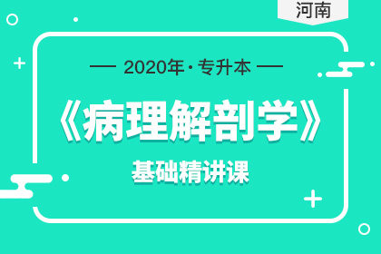 河南專升本臨床醫(yī)學專業(yè)報考人數(shù)有多少(圖1)