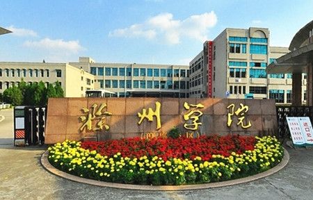 2020年滁州学院专升本学前教育专业学前教育学考试大纲(图1)