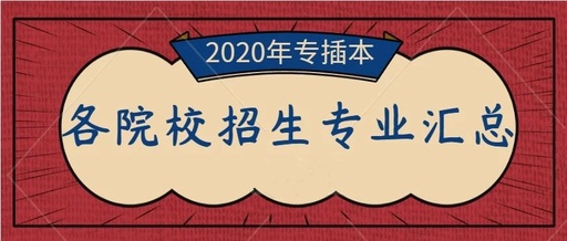 2020年廣東專插本藝術(shù)類招生院校