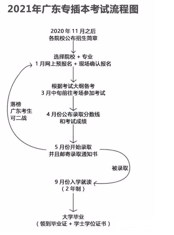 專插本報考