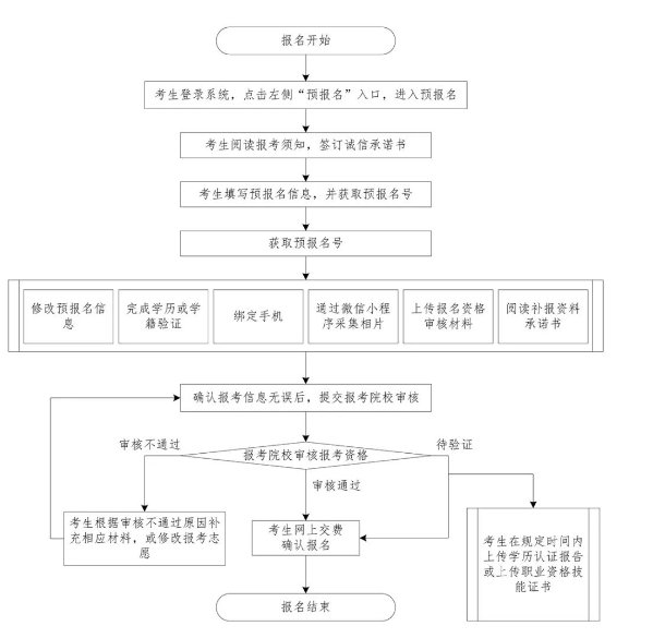 專插本報考