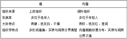 專接本醫(yī)學(xué)類醫(yī)學(xué)病理學(xué)模擬試卷