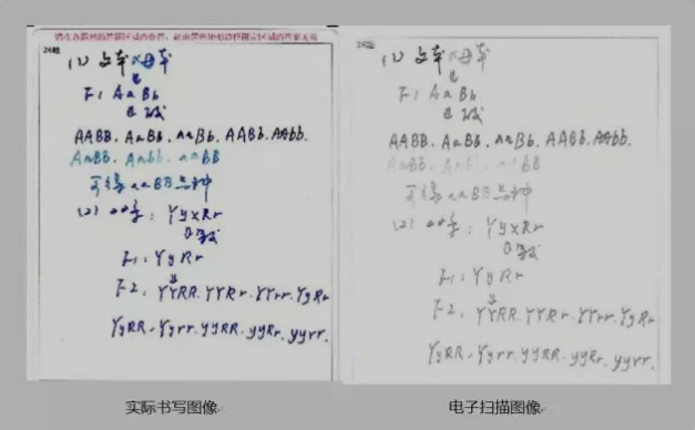 河南專升本歷年電腦是怎樣閱卷的(圖2)